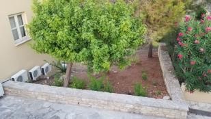 L1 2019 Retaining Wall 4